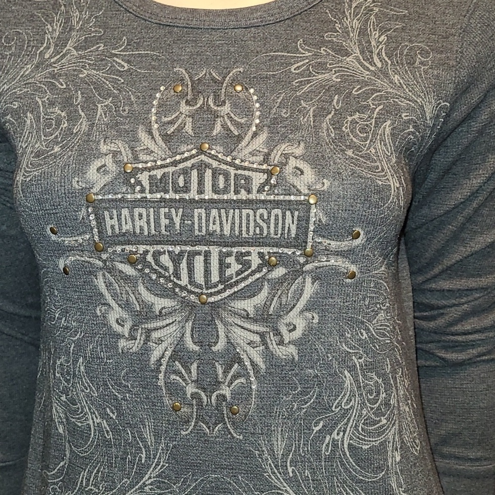 Harley-Davidson Gray Graphic Long Sleeve Tee - Picture 2 of 11